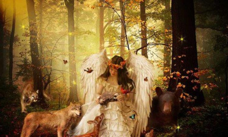 This image has an empty alt attribute; its file name is Angel-from-the-forest-750x450-1.jpeg