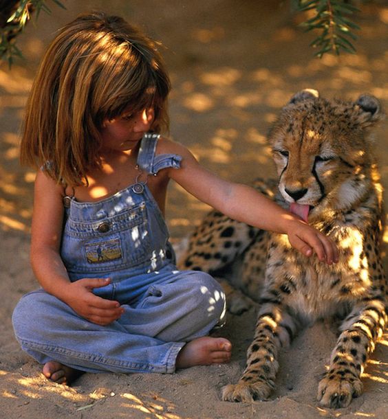 This image has an empty alt attribute; its file name is Inner-Child-with-Cheetah.jpeg